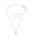 Halsband Frö