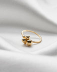 Ring Minnen - Dahlströms Guld