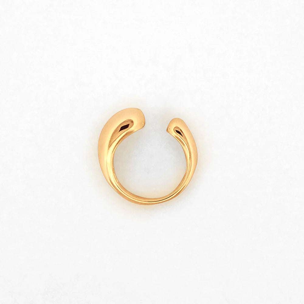 Ring Curves