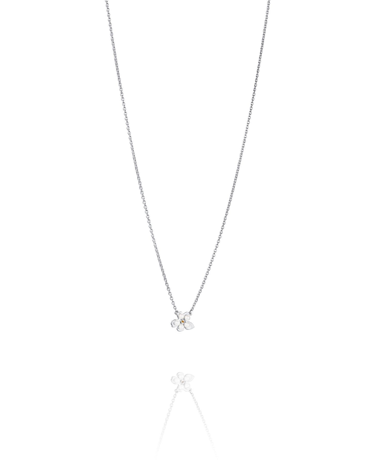 Halsband Förgätmigej