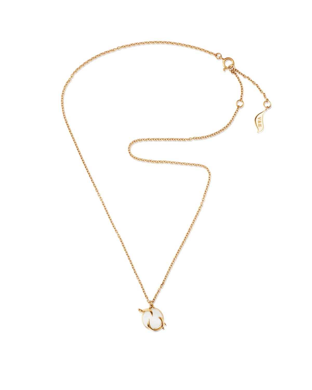 Halsband Frö