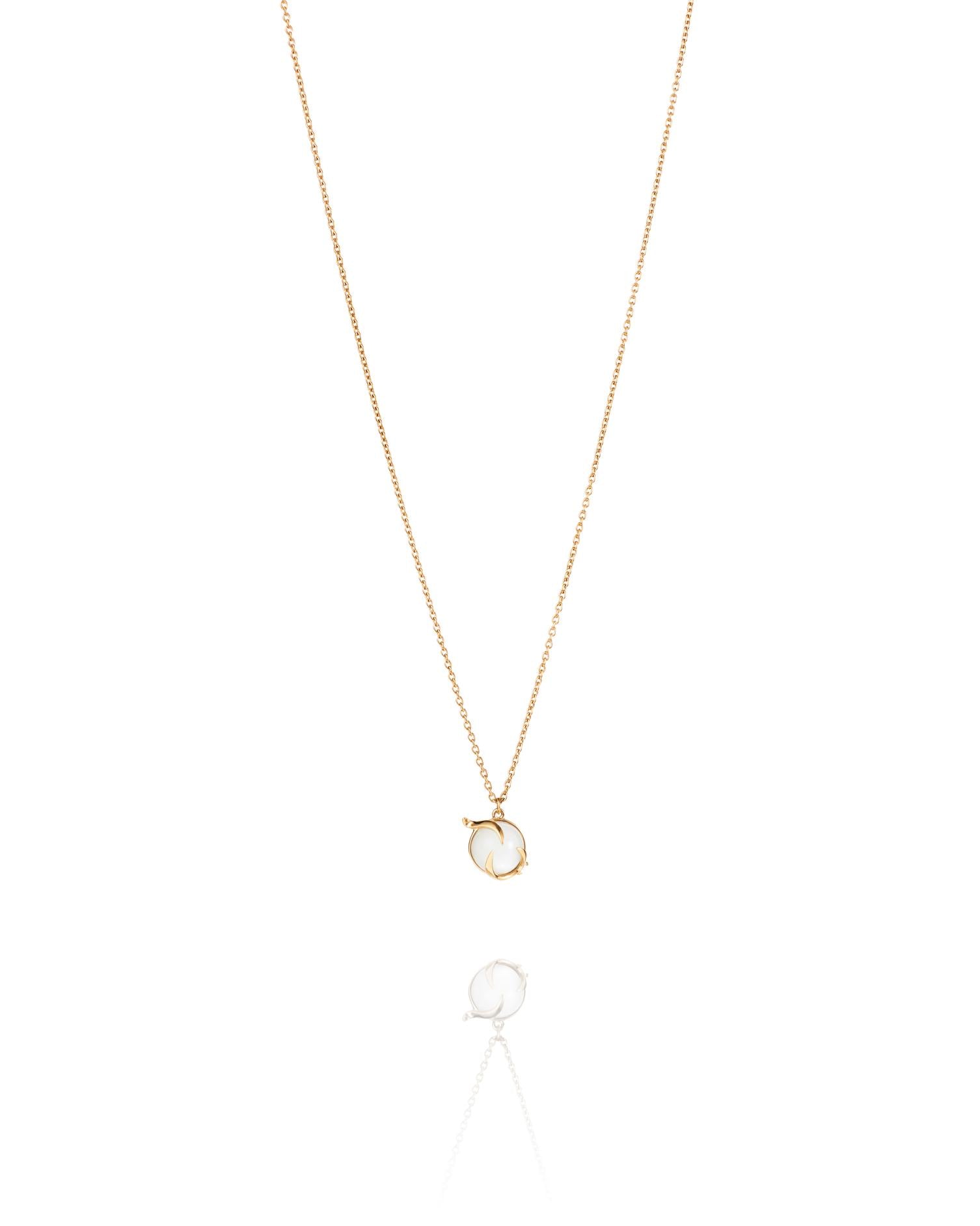 Halsband Frö