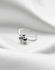 Ring Minnen