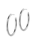 Örhängen Hoops Earrings Steel Medium