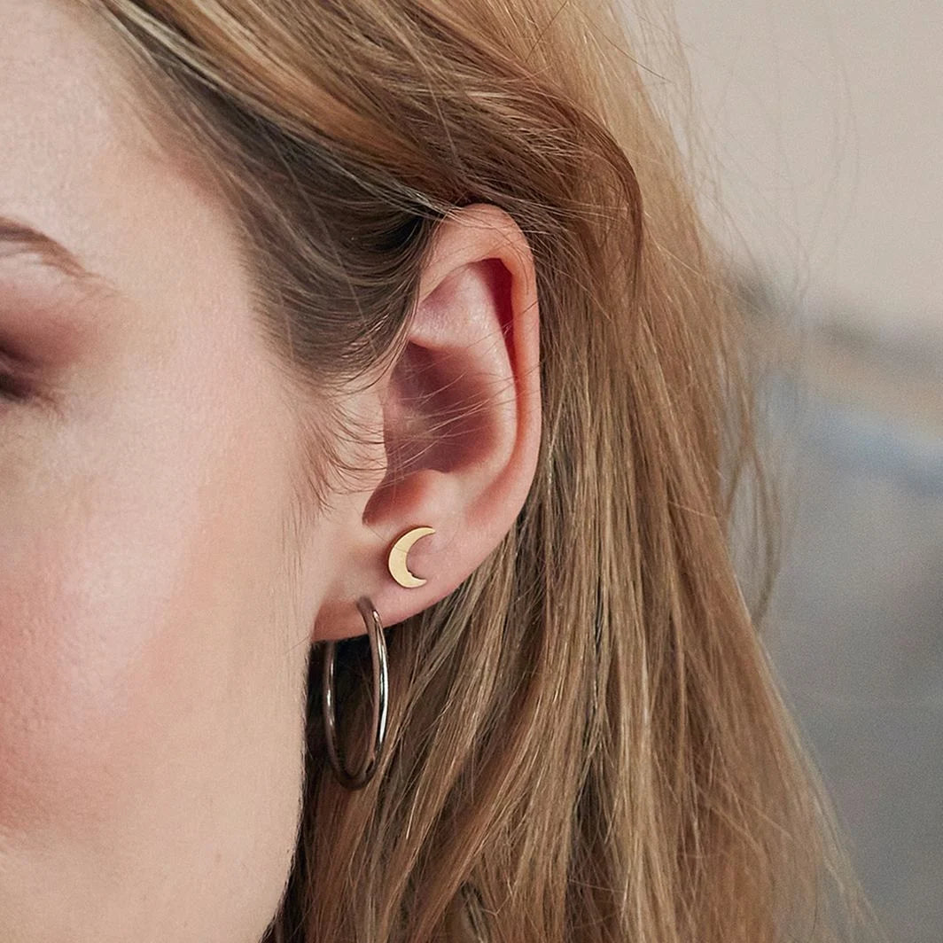 Örhängen Hoops Earrings Steel Medium