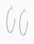Örhängen Crystal Loop Rhodium Crystal - Dahlströms Guld