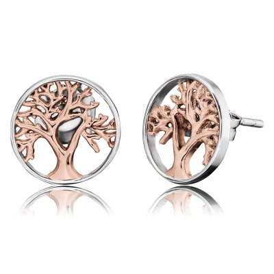 Örhängen Tree Of Life Ere Liltree Bicor - Dahlströms Guld